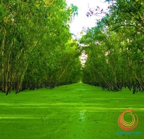 LỤC TỈNH MIỀN TÂY